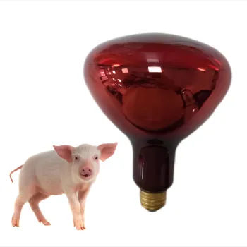 IR Heat Lamp R125 Red 100W/150W/250W Sauna Food Warmer Light