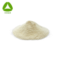 Natural Pure Elderberry Blumenextrakt Pulver 10: 1