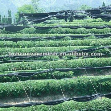 hot sale high quality Sunshade net (manufacture)