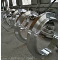 Large size welding neck flange