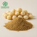 Organic Cleared Pinellia Extract for Enhanced Digestive Health
