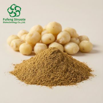 Organic Cleared Pinellia Extract for Enhanced Digestive Health