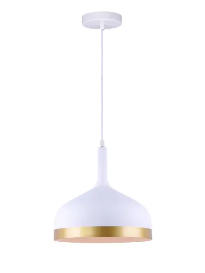 LED Modern Metal & glass pendant Lights