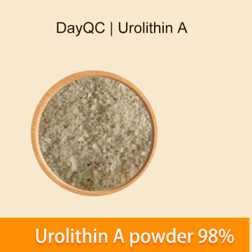 Urolithin ett pulver 98%