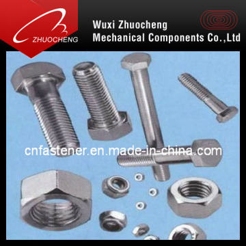 SS304/340/316 Hex Bolts (DIN933/931...)