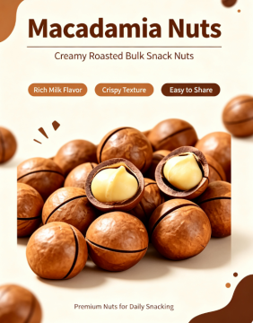 Premium Roasted Macadamia Bulk Snack Nuts