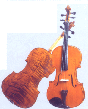 High Grade Viola