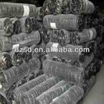 hexagonal wire mesh/ gabions