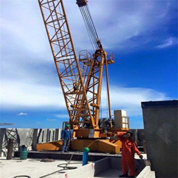 WD60 High Quality Roofing Crane Building Top Construction