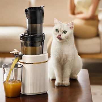 200W High-Quality Slow Masticating Juicer