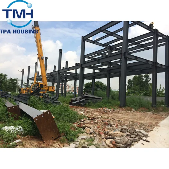 steel chicken egg poultry farm construction warehouse