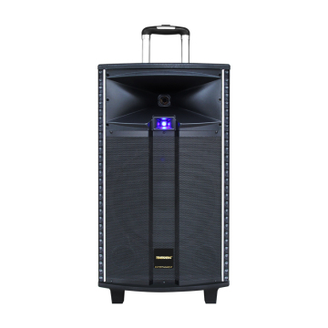 Vibrant Portable Outdoor Trolley Speaker with Subwoofer and Big Battery