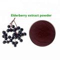Black Elderberry Extract Powder