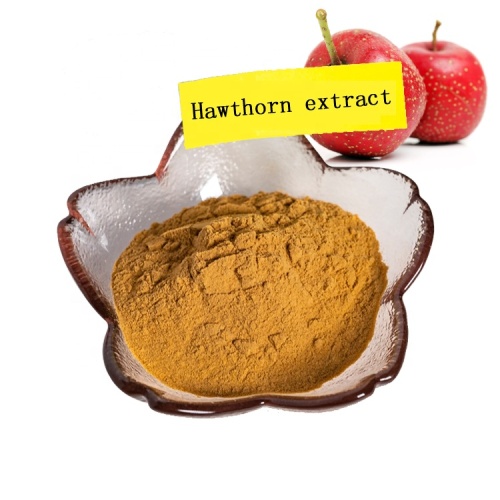 factory supply Hawthorn fruit extract powder 10:1 hawthorn berry extract powder