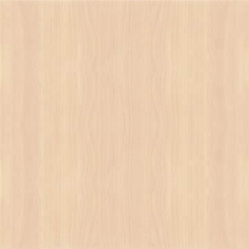 Natural white maple commercial plywood