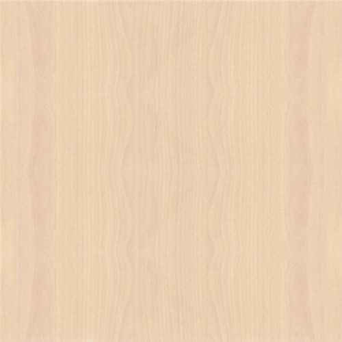 Natural white maple commercial plywood