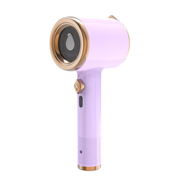 Mini Portable Handheld Steam Iron for Fashion Ironing