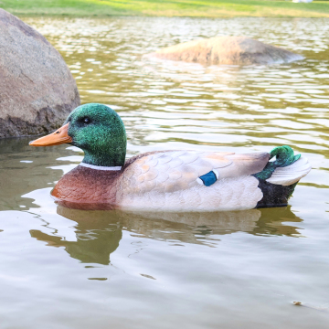 V201 Mallard Duck 2.4GHz Rechargeable Boats: Ideal for Outdoor Playing, Decoy Use, Hunting, and Garden Decoration