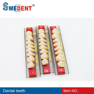 Denture Acrylic Resin Teeth/acrylic resin teeth