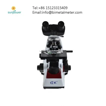 Budget-Friendly Scanning Electron Microscope (SEM) Solutions: Affordable SEM Devices and Technologies