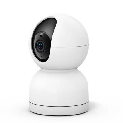 Industrial IP camera system mold