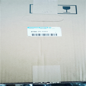 KOMATSU Fuel Pump 6156-71-1110/6156-71-1111