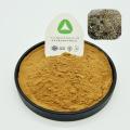 White Willow Bark Extract Salicin Powder Natural Organic