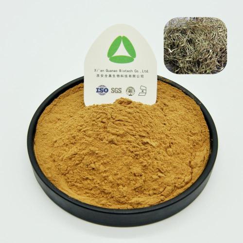 Chondroitin Sulfate White Willow Bark Extract Salicin Powder Natural Organic Supplier