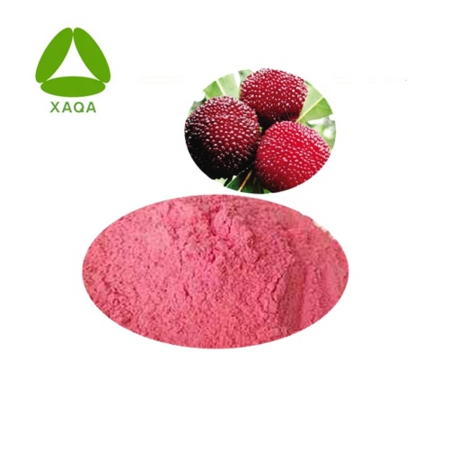 Pó de suco de frutas de cera de Bayberry vermelho liofilizado