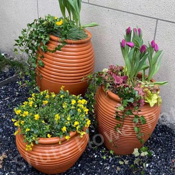 Potenciômetros de Plantas Afligidas Mini Terra Cotta Terracotta ao ar livre