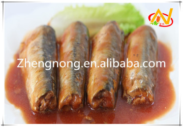 Chinese Canned Sardine in Tomato Sauce