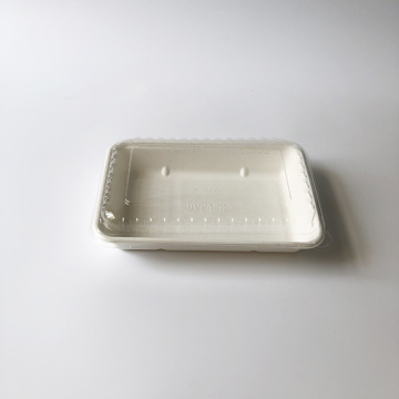 Rectangular pulp tray 247