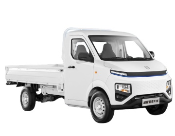 In Stock 2023 Remote Star Sharing F1E Hot Sale Electric Logistics Vehicle