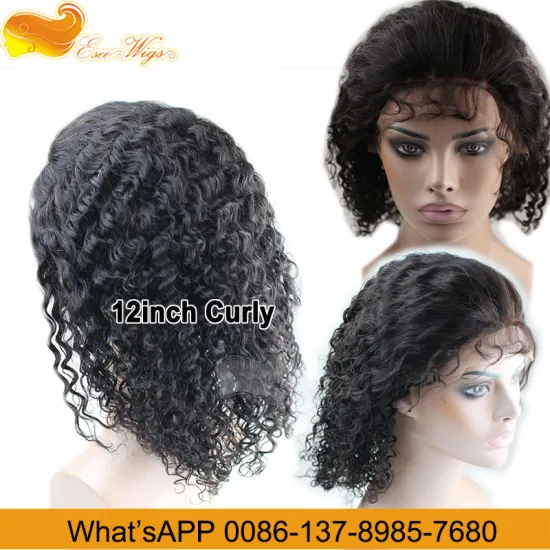 Wholesale Factory Price Human Hair Full Lace Wigs Length: 8 Inch 8-24Inch In Stock