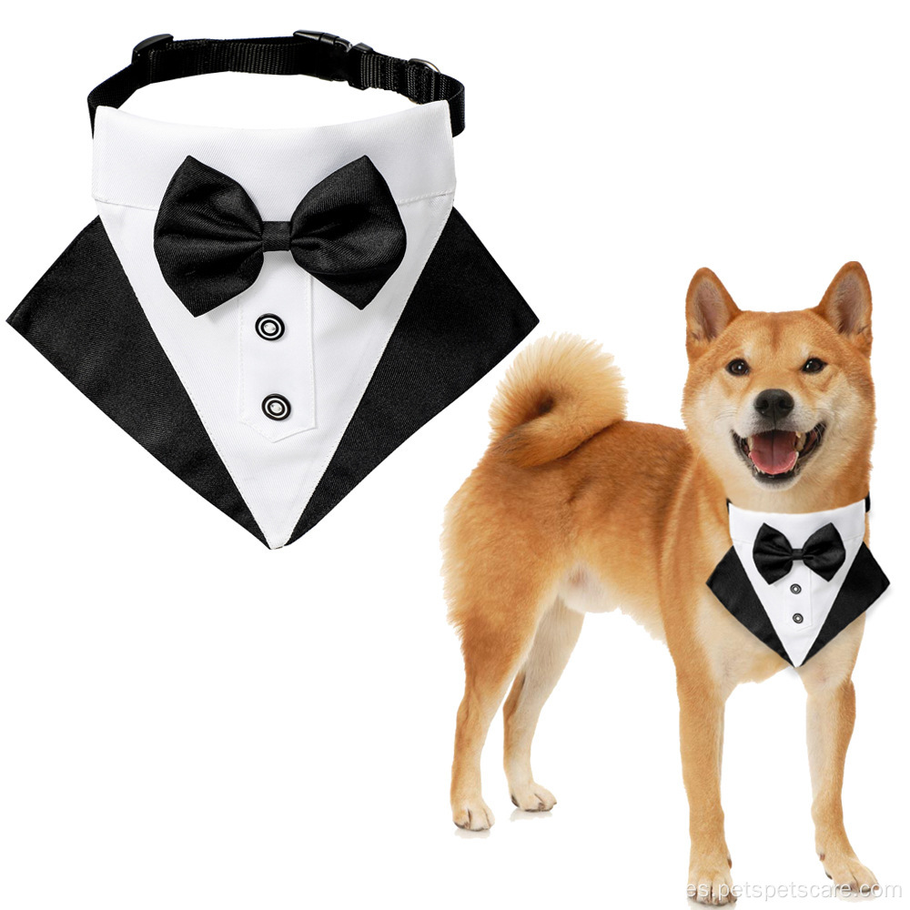 Conjunto de bandana de cuello de mascota de traje de boda de lujo ecológico