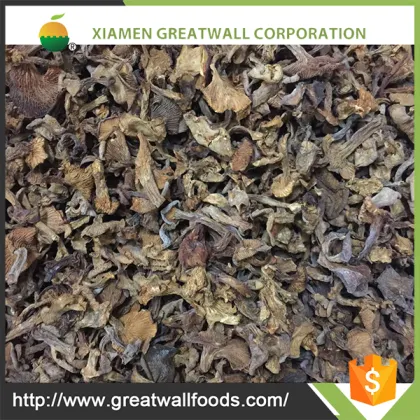 Whole Wild frozen chanterelle mushroom