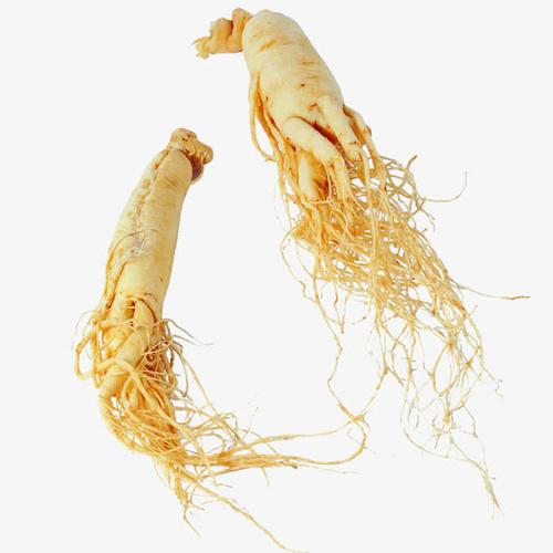 Ginseng Root Extract Powder Ginseng Root Extract Ginsenoside 80%  Rg3 Powder Supplier