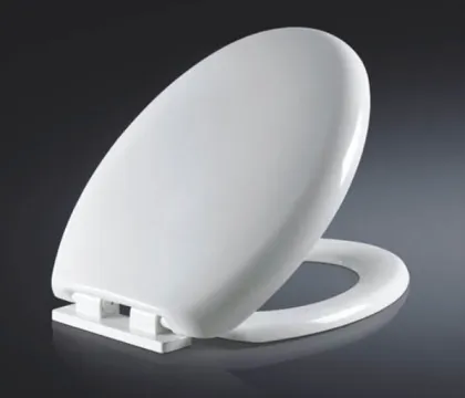 High Standard Slow Fall Down Toilet Seat Cover
