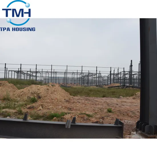 Foshan Factory Custom Steel Strcuture Workshop