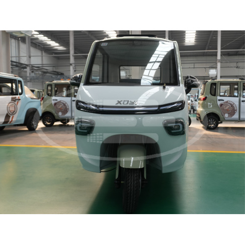 Electric assist adult tricycle
