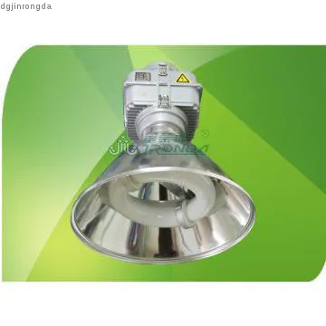 150W induction Under canopy lighting, 5 years warranty