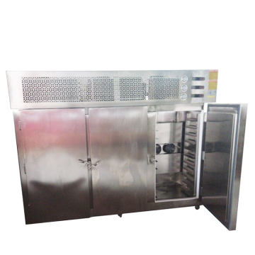 IQF Cryogenic Blast Freezer: Fast Freezing Liquid Nitrogen Tunnel Freezer for Meat, Fish, and Fruits