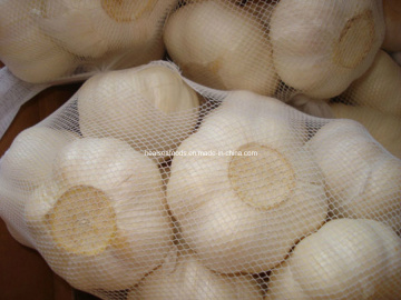 Good Quality White Garlic