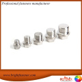 DIN910 Hex Head Screw Plugs