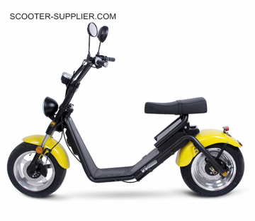 Homologatin Type Approval 2000W Citicoco harley