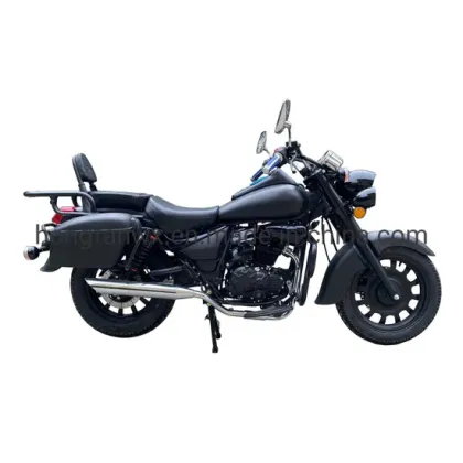 Adult Gas Motorcycles and Moto Scooters