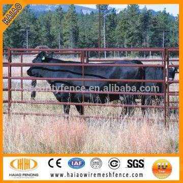 pvc coated horse fence made in China