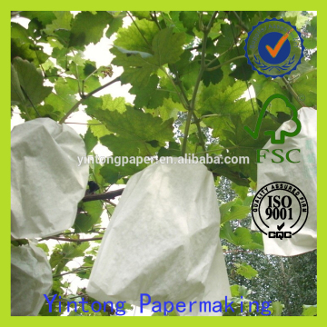 grape bag fruit growing paper bag