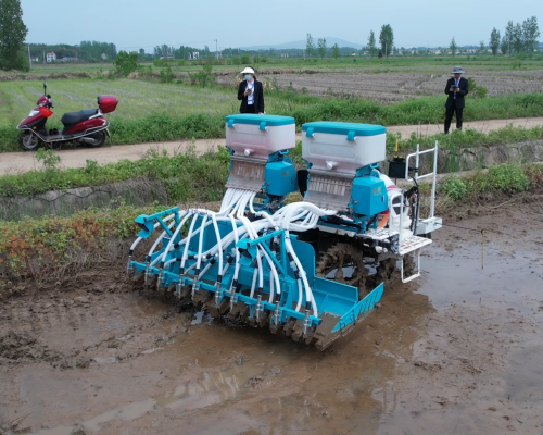 8/12 Rows Paddy Rice direct seeding machine for Kubota Yanamr Rice Transplanter