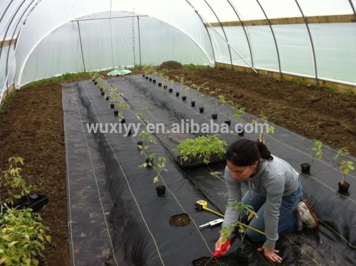 Jiangsu Factory Supply Dark Green Ground Cloth For Anti-weed Growth/Dry Weave Fabric
